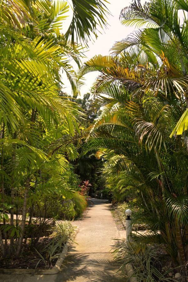 Marcosas Resort Moalboal