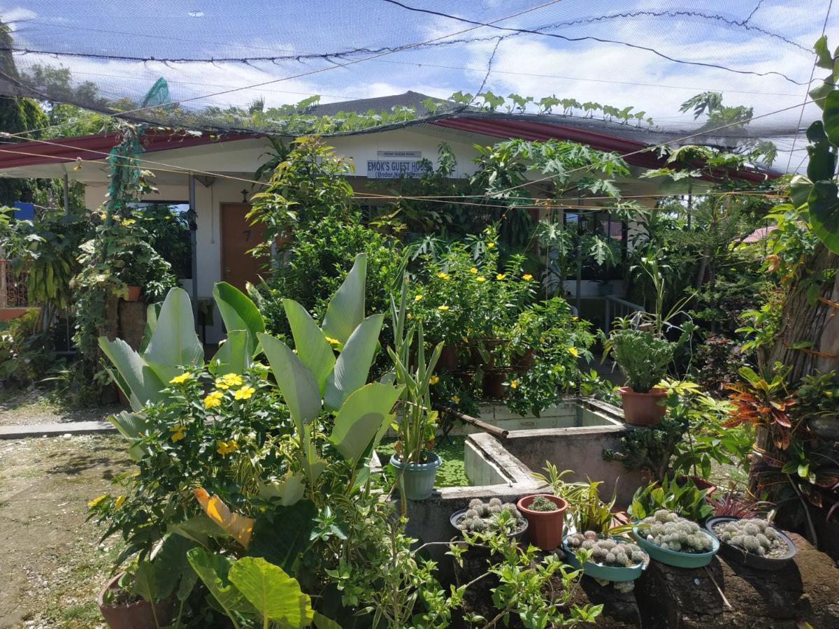 Emoks Guest house Moalboal
