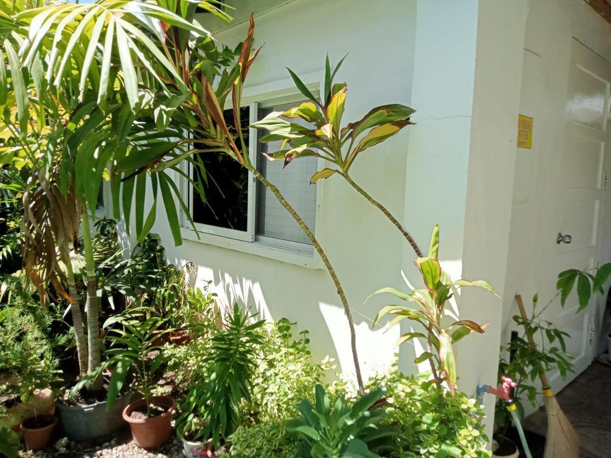 Okoy Santa Fe (Cebu)