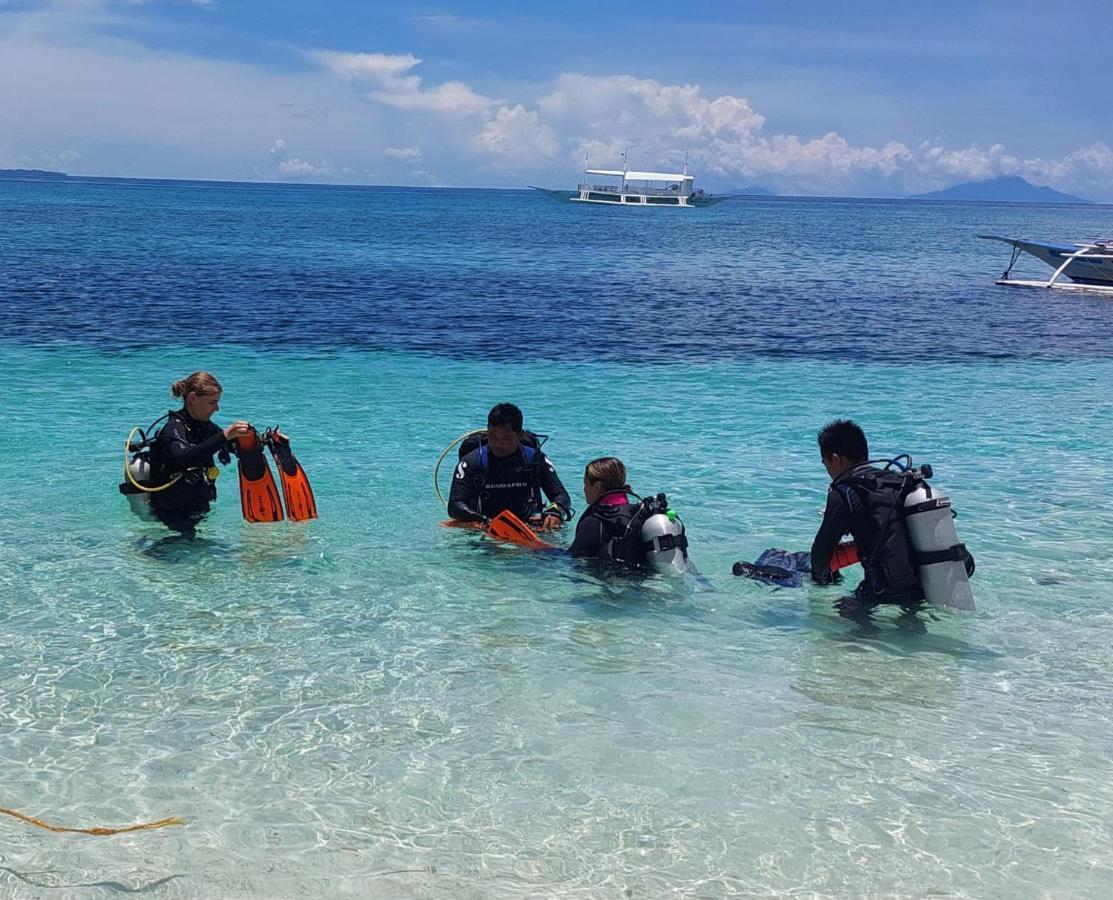 Avila's Horizon Dive Logon