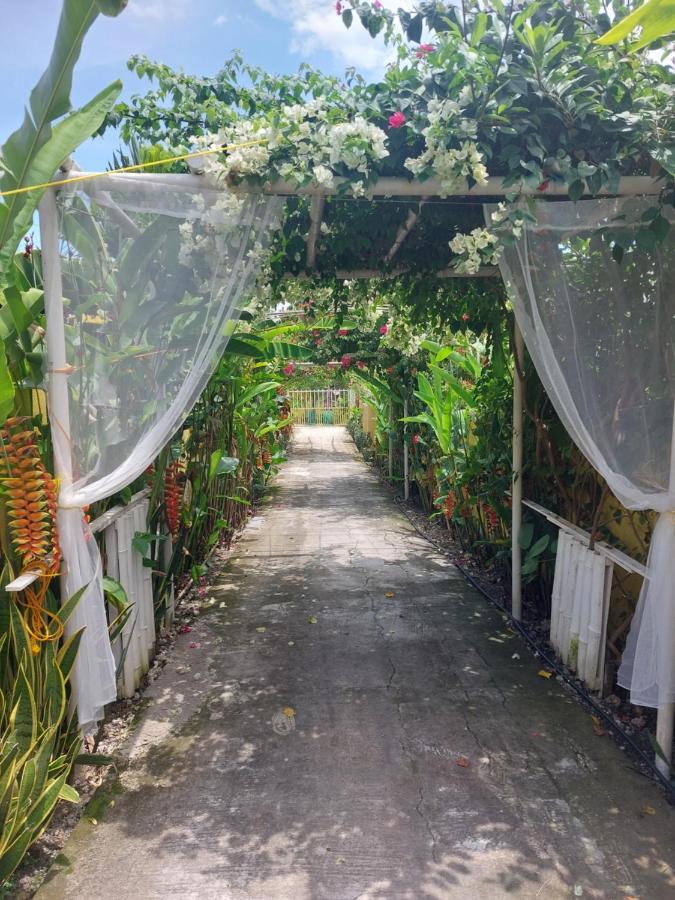 Maui's Place Hostel *