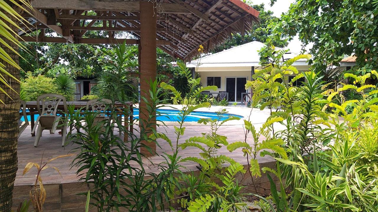 Resort The Shark's Tail Dive