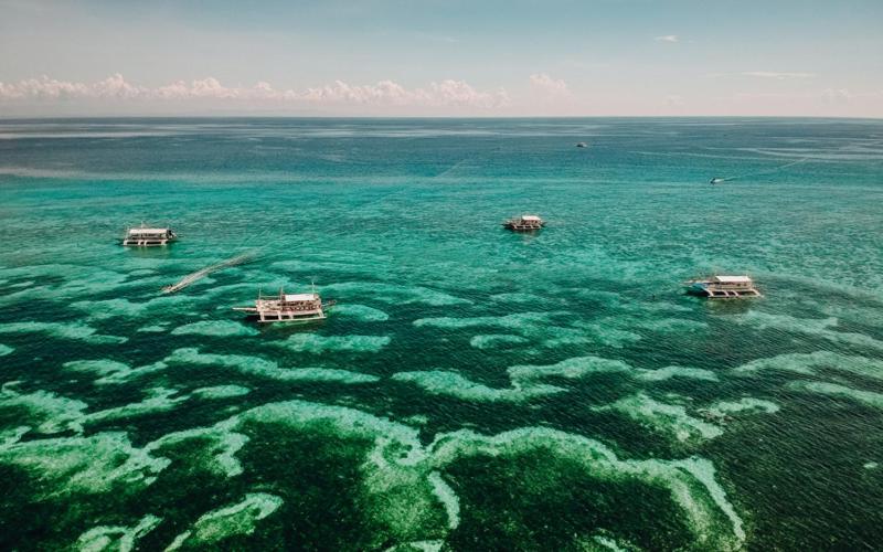 Johandive Hotel Daanbantayan