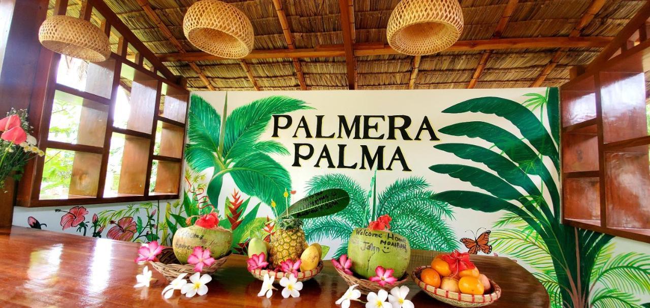 Palmera Palma Garden Level Guest house