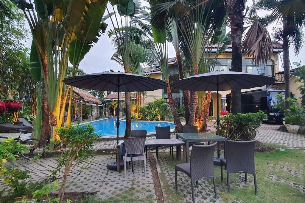 Dokkebi Pool House 도깨비풀빌라 Villa