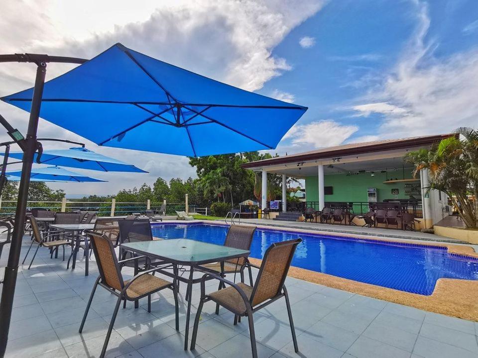 Mvr Mariegold * Suba Basbas