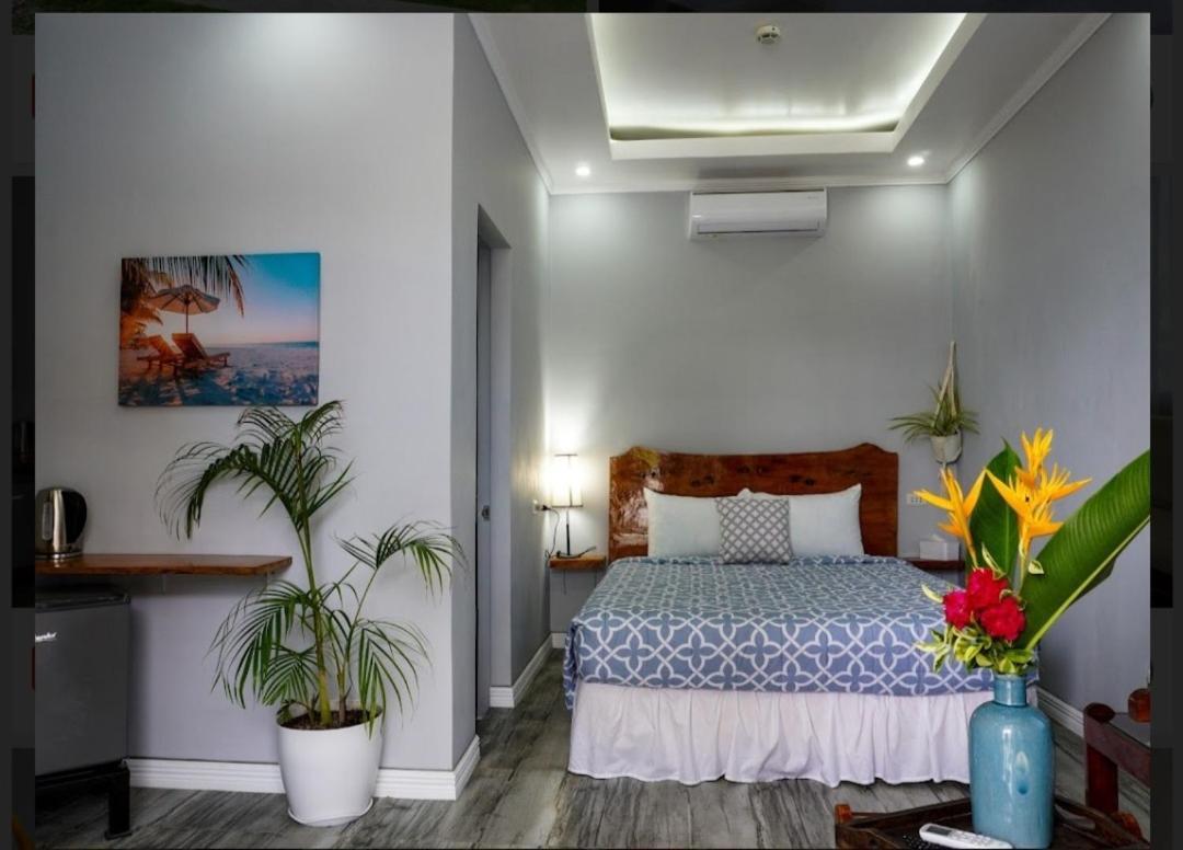 Palm View Guest house Moalboal