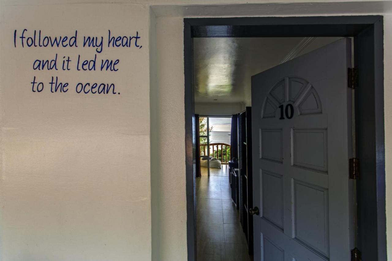 Ocean Vida And Dive Logon