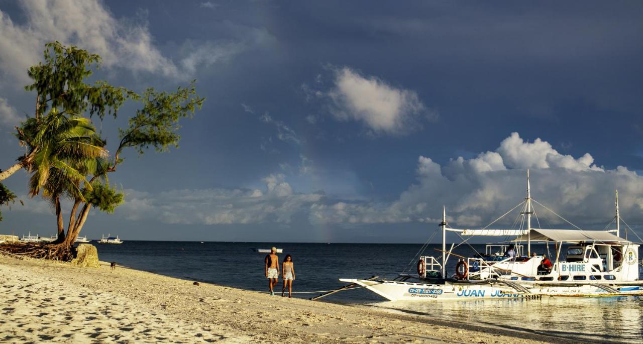 Ocean Vida And Dive