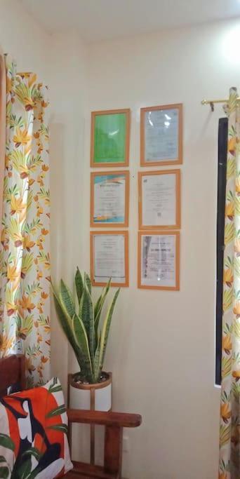 Apartment Djl House -bantayan Island Patoa