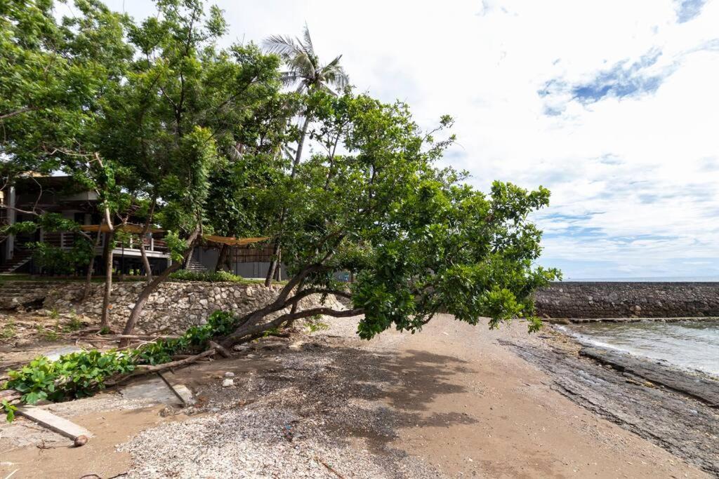 Bahay bakasyunan Exclusive Beachfront W/ Outdoor Tub & Kayaks Danao (Cebu)