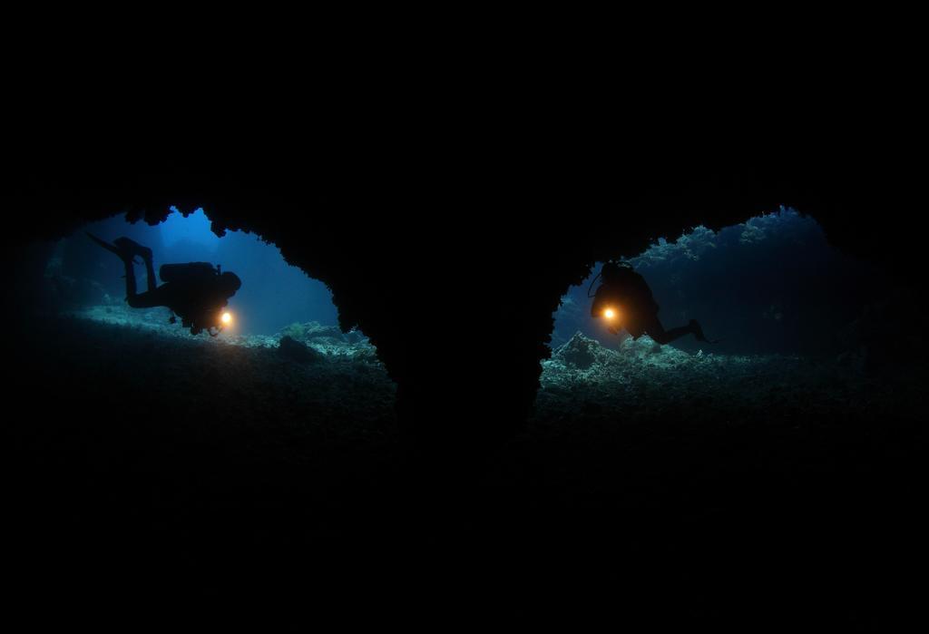 Ocean Vida And Dive Resort Logon