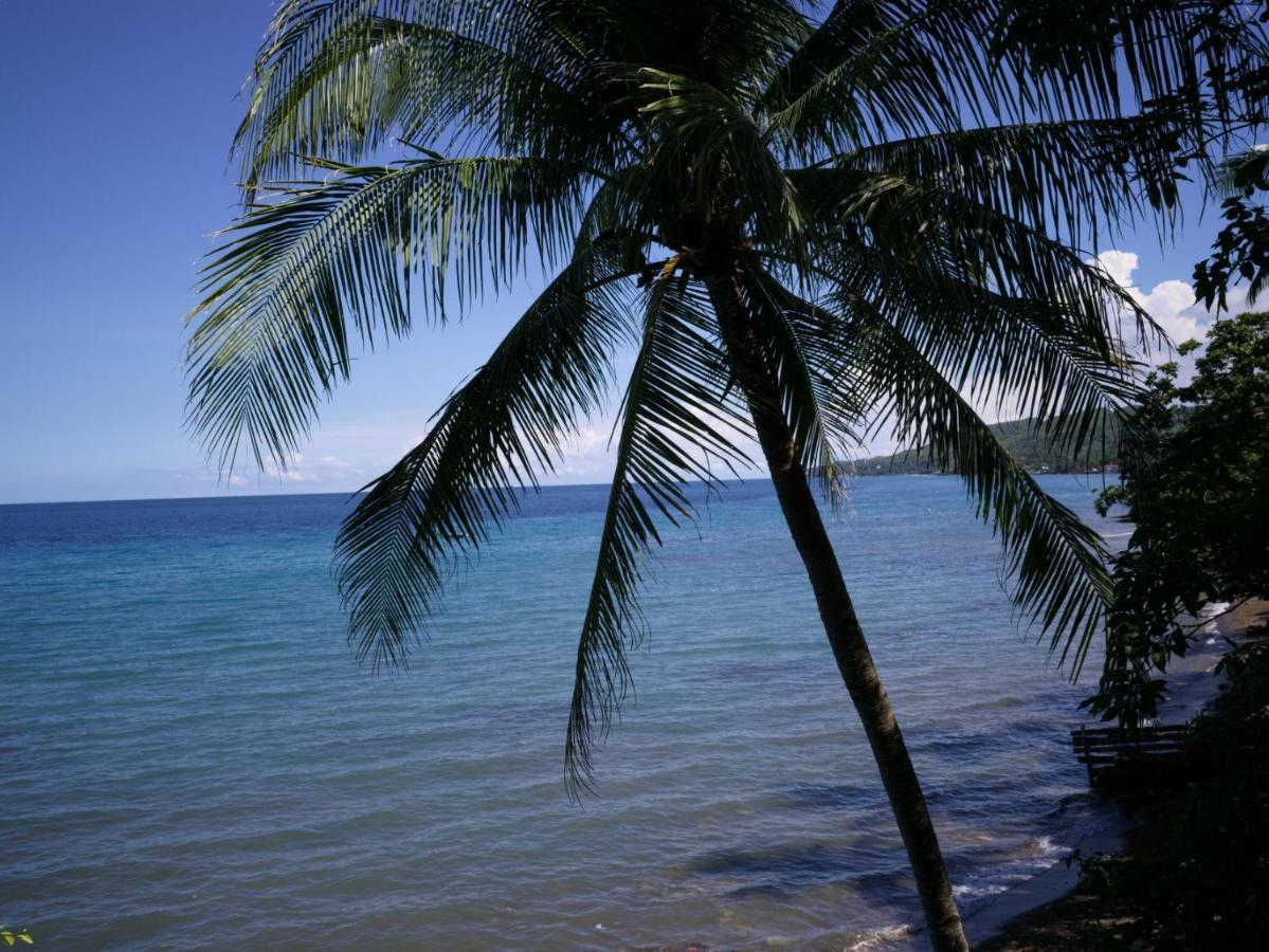 Flores Beachside 4* Catmon