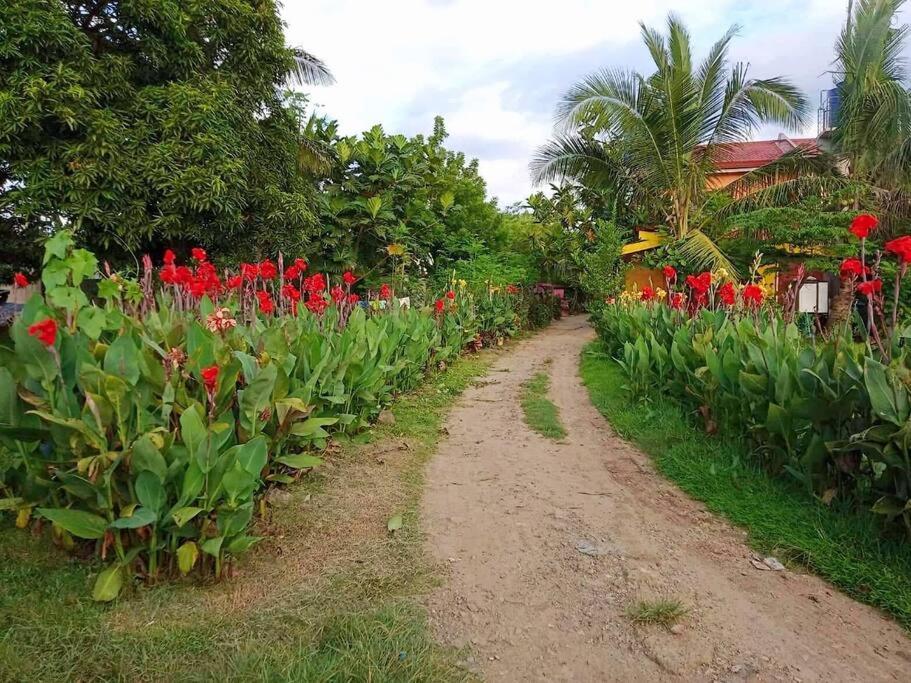 Bahay bakasyunan Family Friendly Entire House 4 Minutes To Liloan