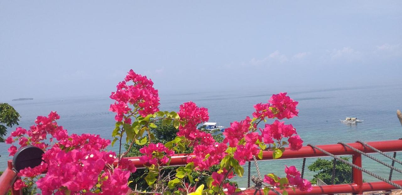 Strandhaus Condotel Hotel Moalboal