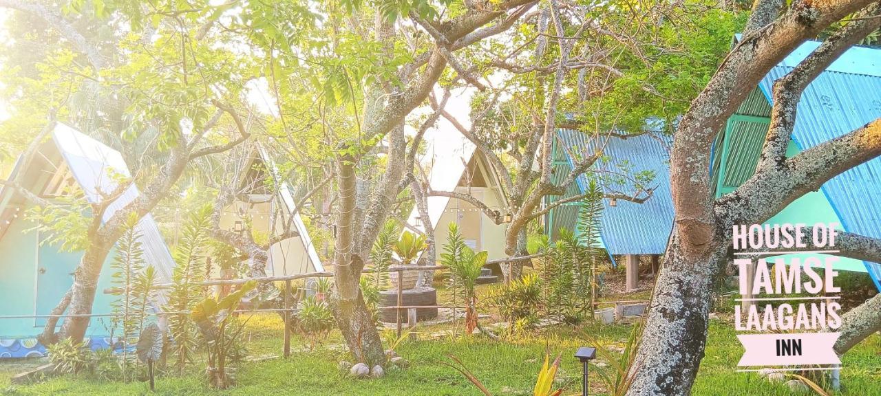 House Of Tamse Laagans '