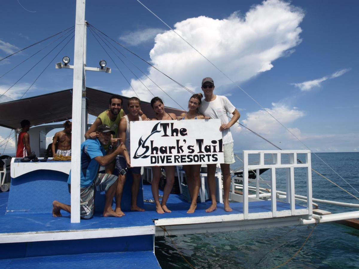 The Shark's Tail Dive 3*