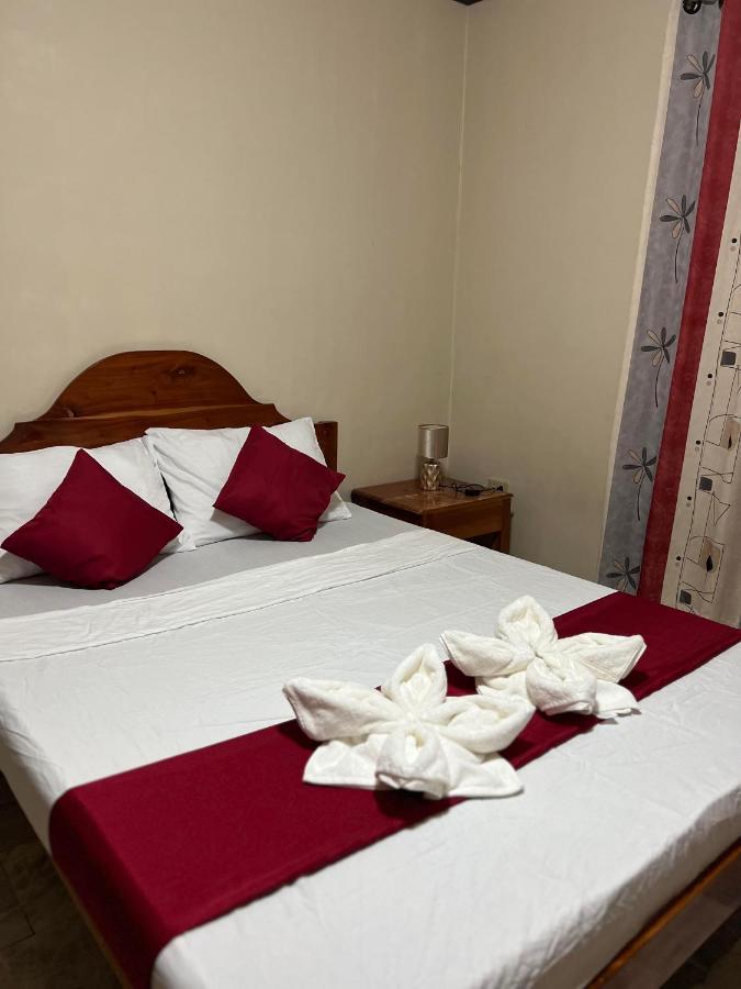 Dreamcatcher Albergue