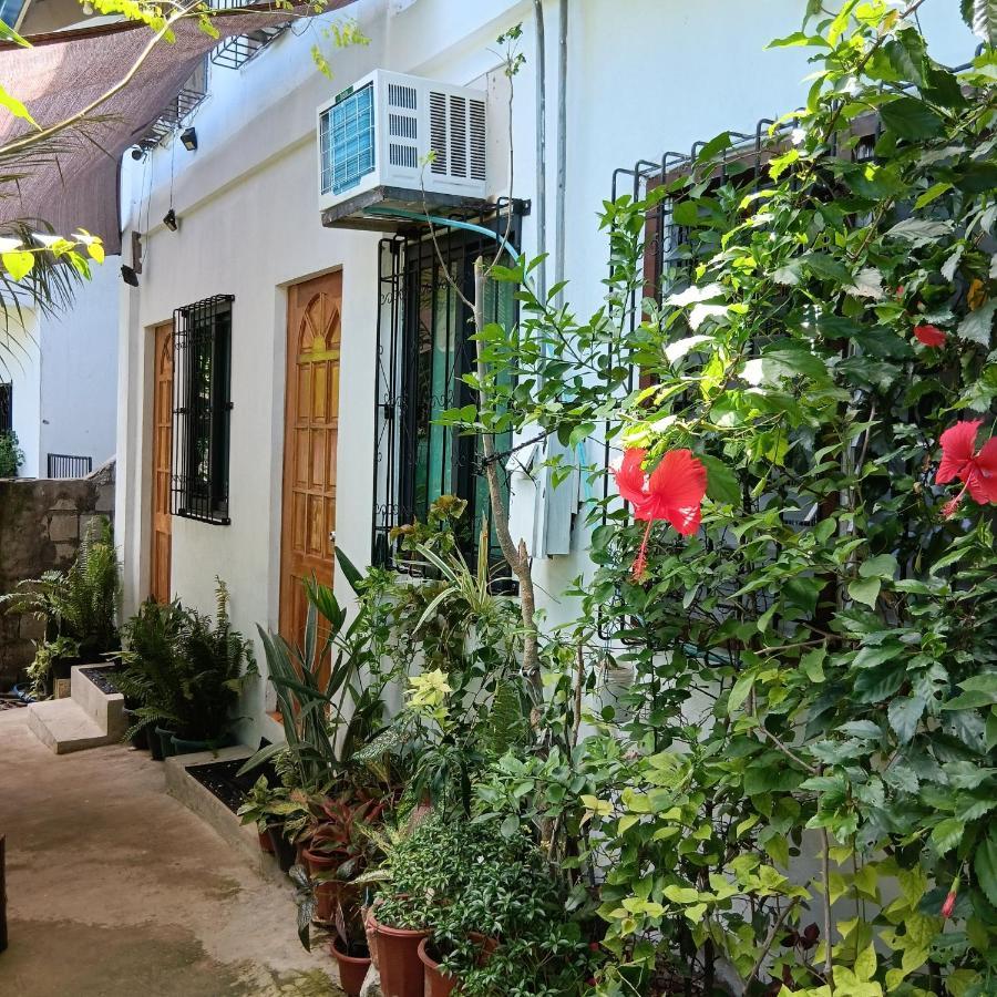 Susing Seaside Hostel