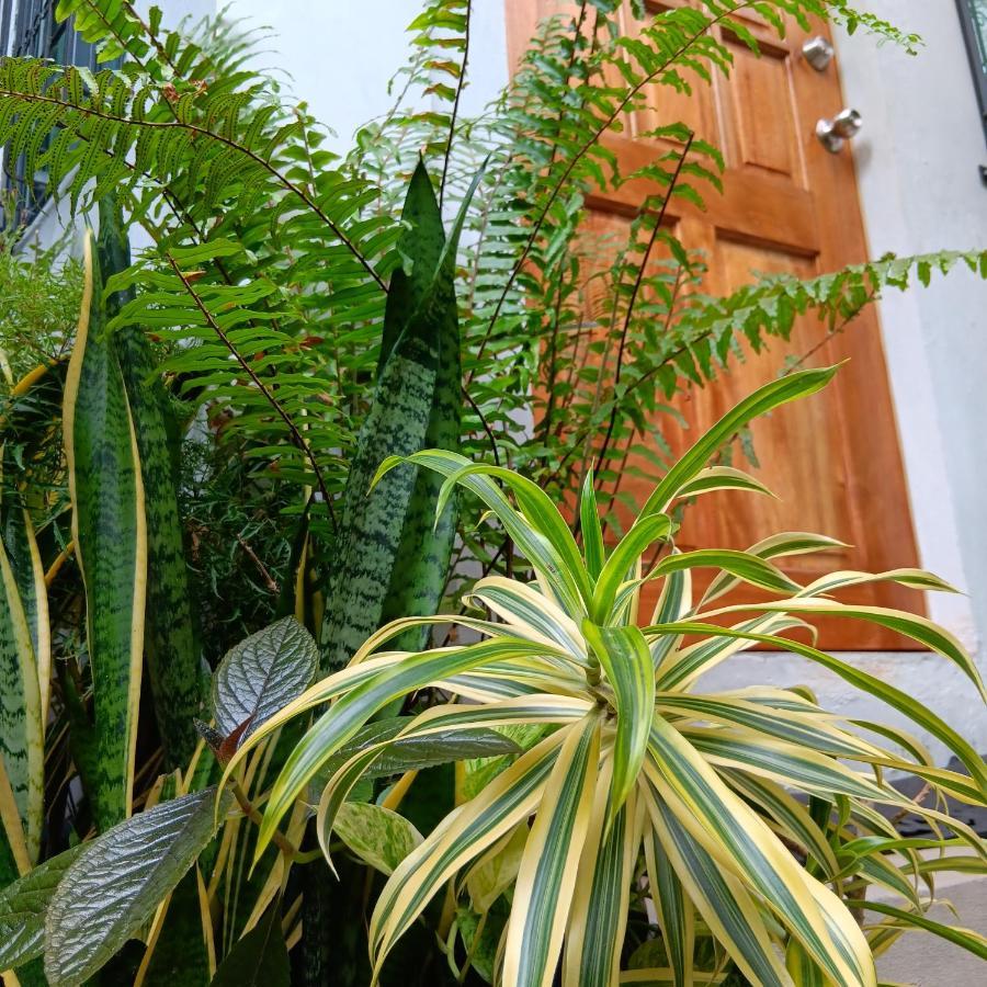 Susing Seaside Hostel