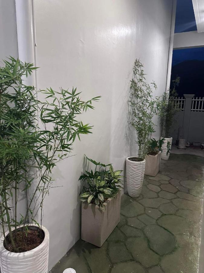 The Garden Guest house *