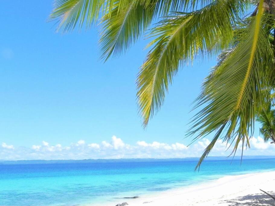 Private Collection 贅沢 Jade'S Beach Villa 별장 Cebu-Olango An Exclusive Private Beach Secret 별장 2 Nights Minimum * Lapu-Lapu City