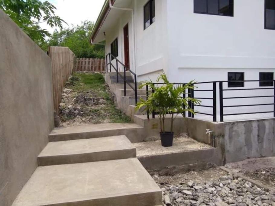Modern Tropical Atabay