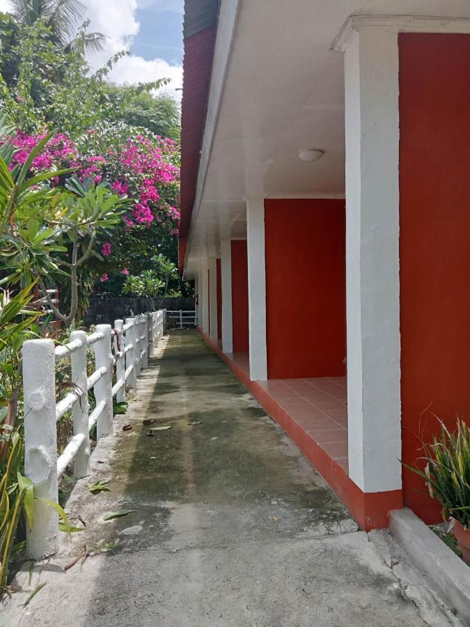Bed & Breakfast And Dive Logon