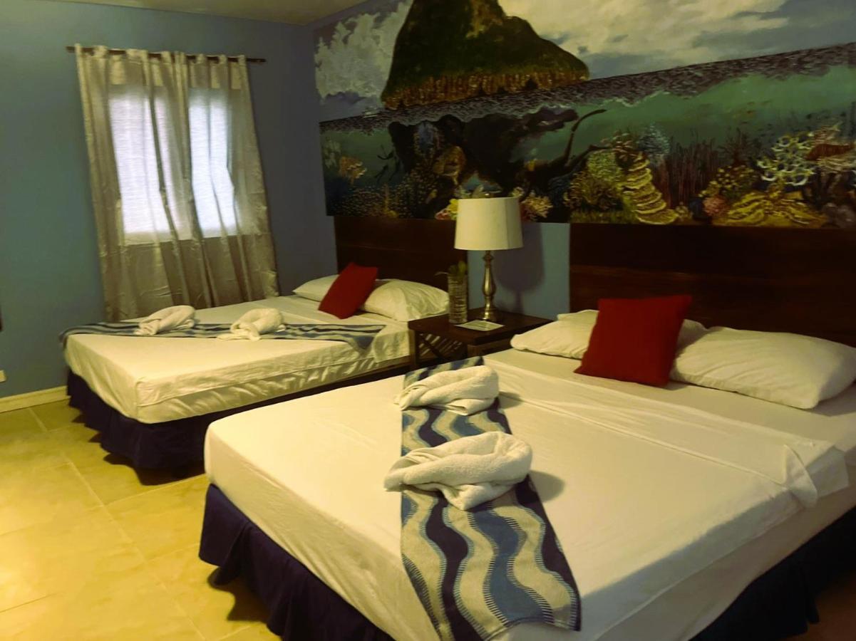 Bed & Breakfast And Dive *