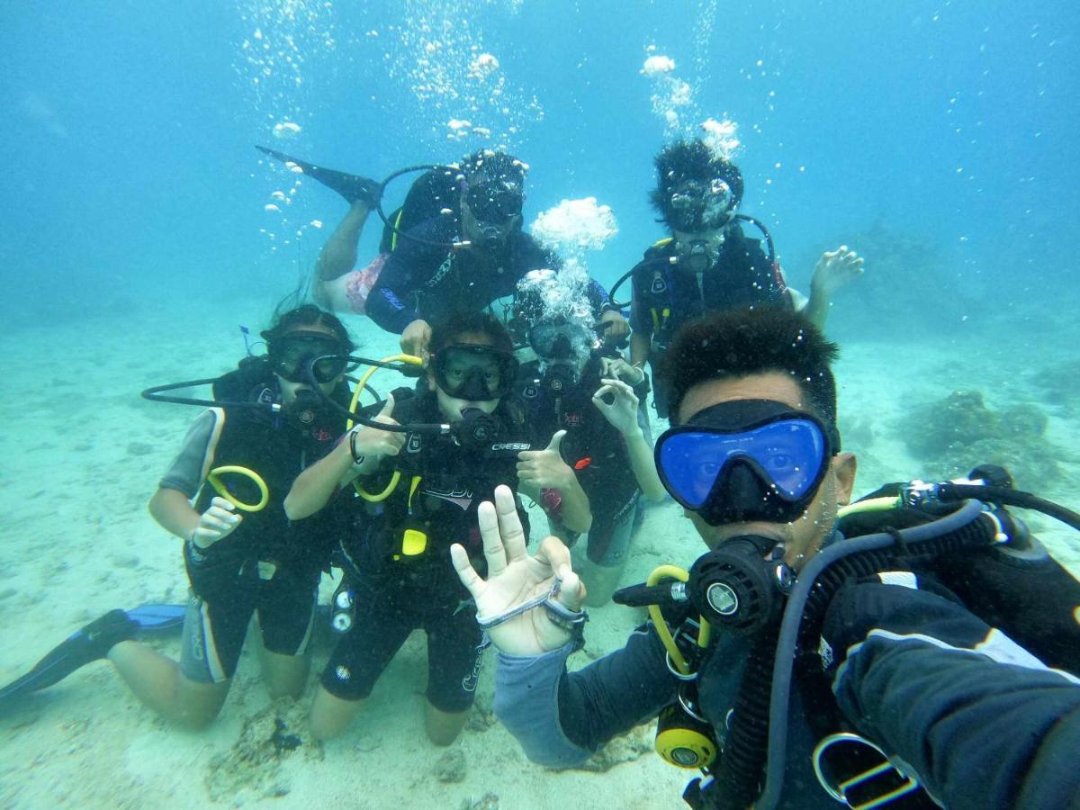 Bed & Breakfast And Dive *