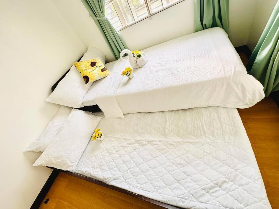 Hidden Gem: Cebu's Best Escape
