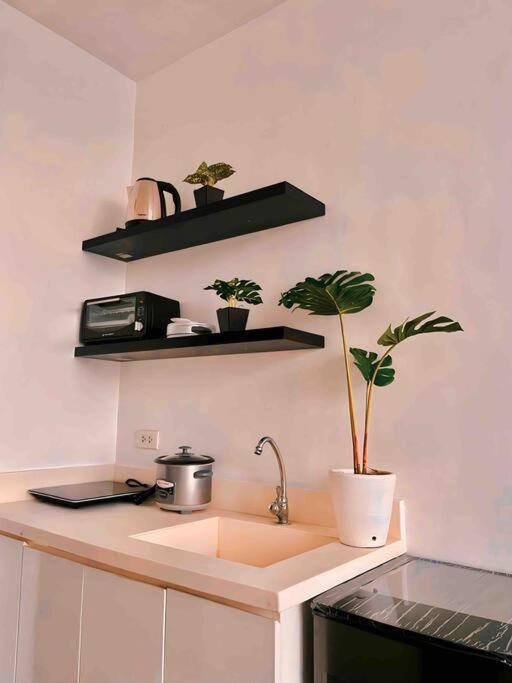 The Flat *