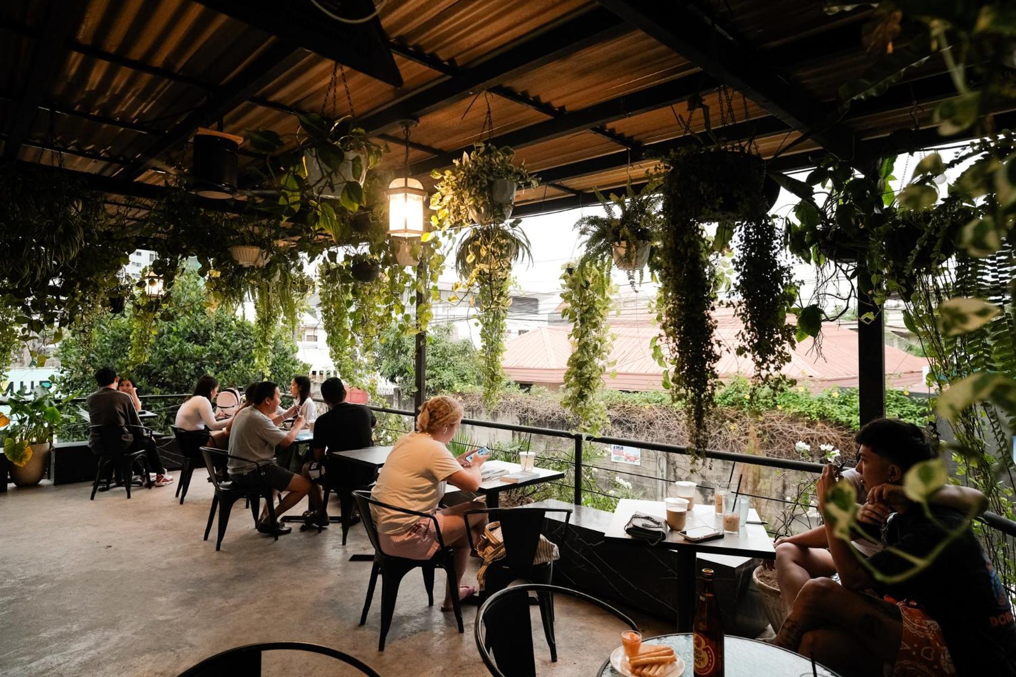 Hostel Murals And Cafe