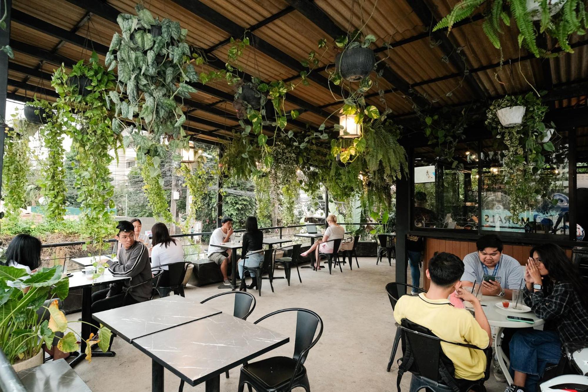 Murals And Cafe *