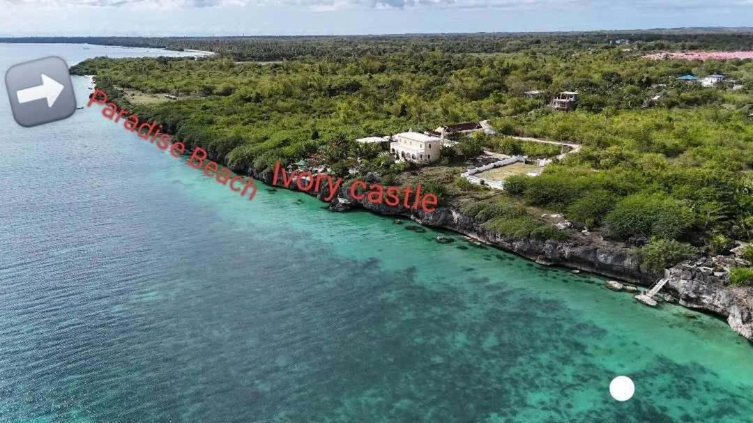 The Ivory Castle *