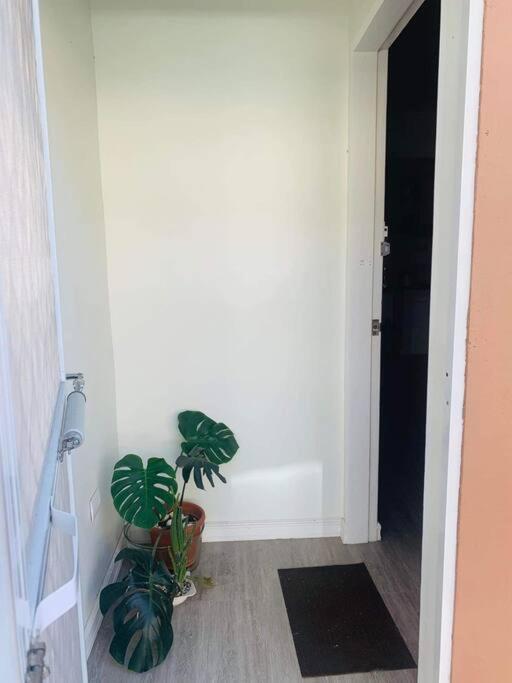Marias Island Oasis Close To The Airport And Apartment *