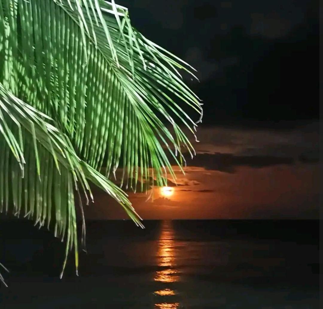 Bahay sa kanayunan Sea Esta House *