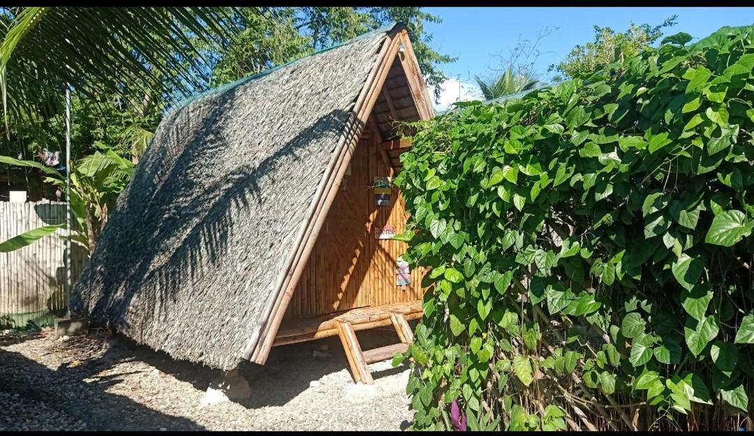 Bed & Breakfast Bamboo House /
