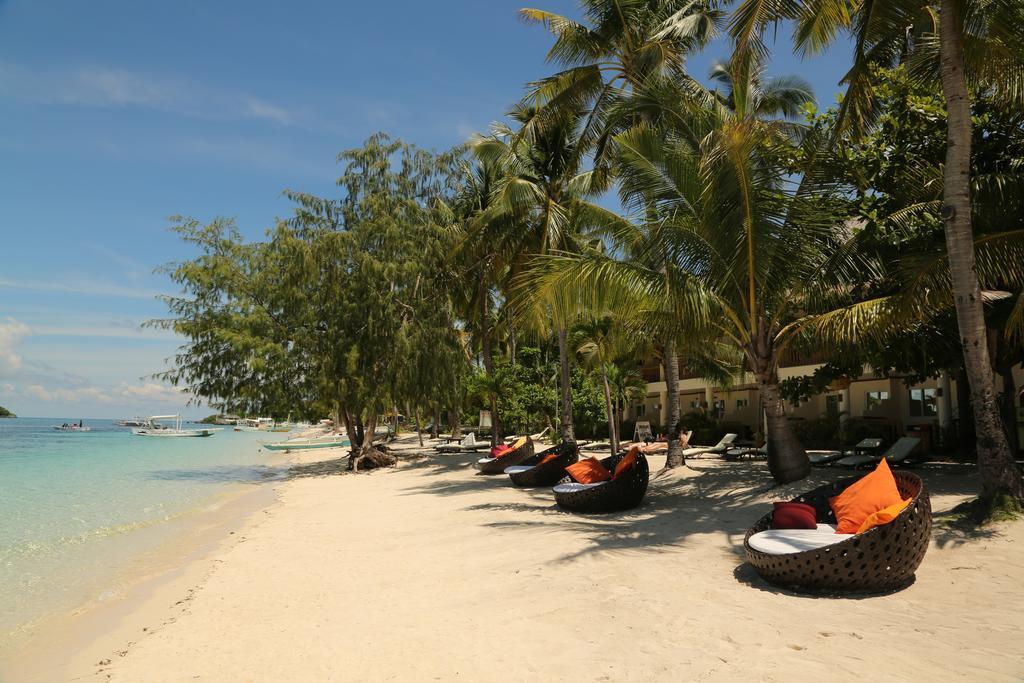 Ocean Vida And Dive Logon