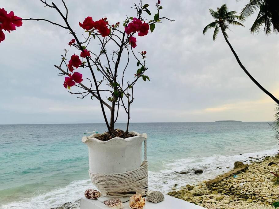 Samantha's Cove Priv House Villa Oslob