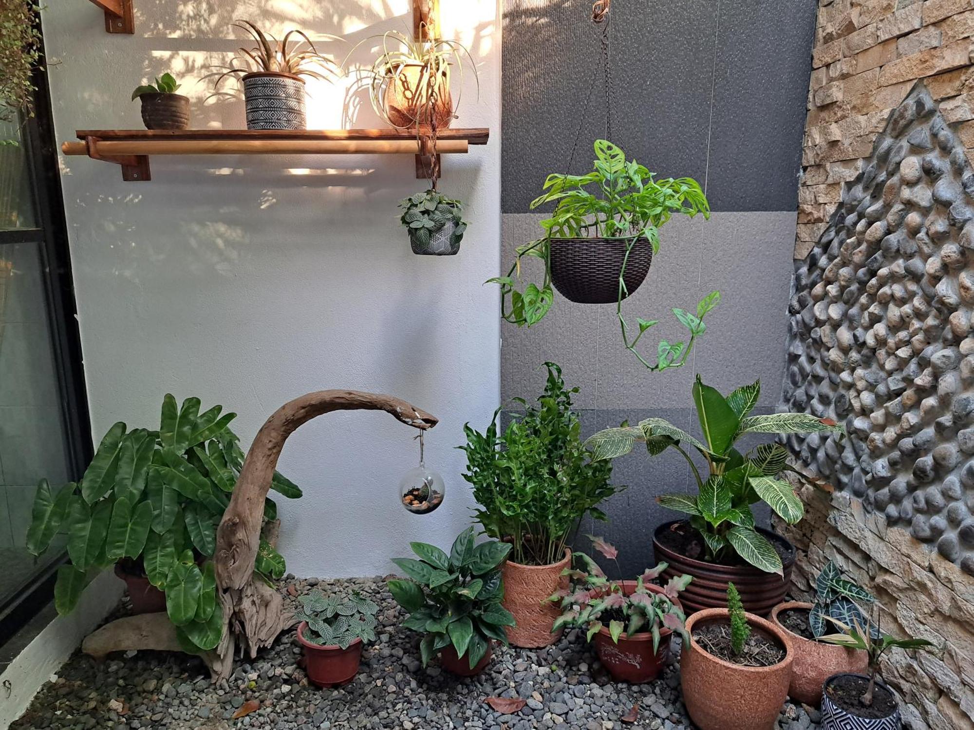 Bahay bakasyunan Palmera Palma Private 1-br #3 Moalboal