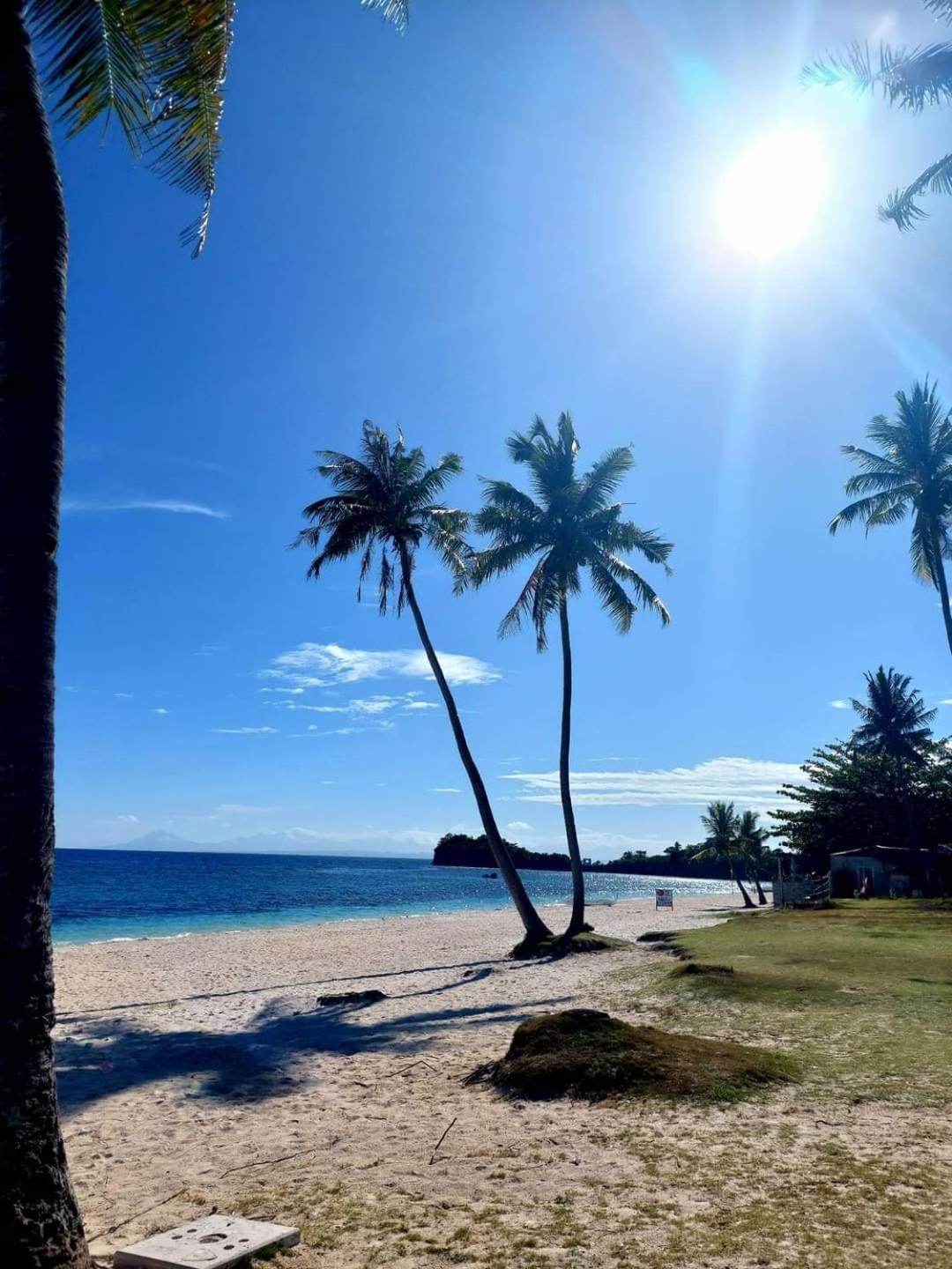 Resort Avila's Horizon Dive Logon