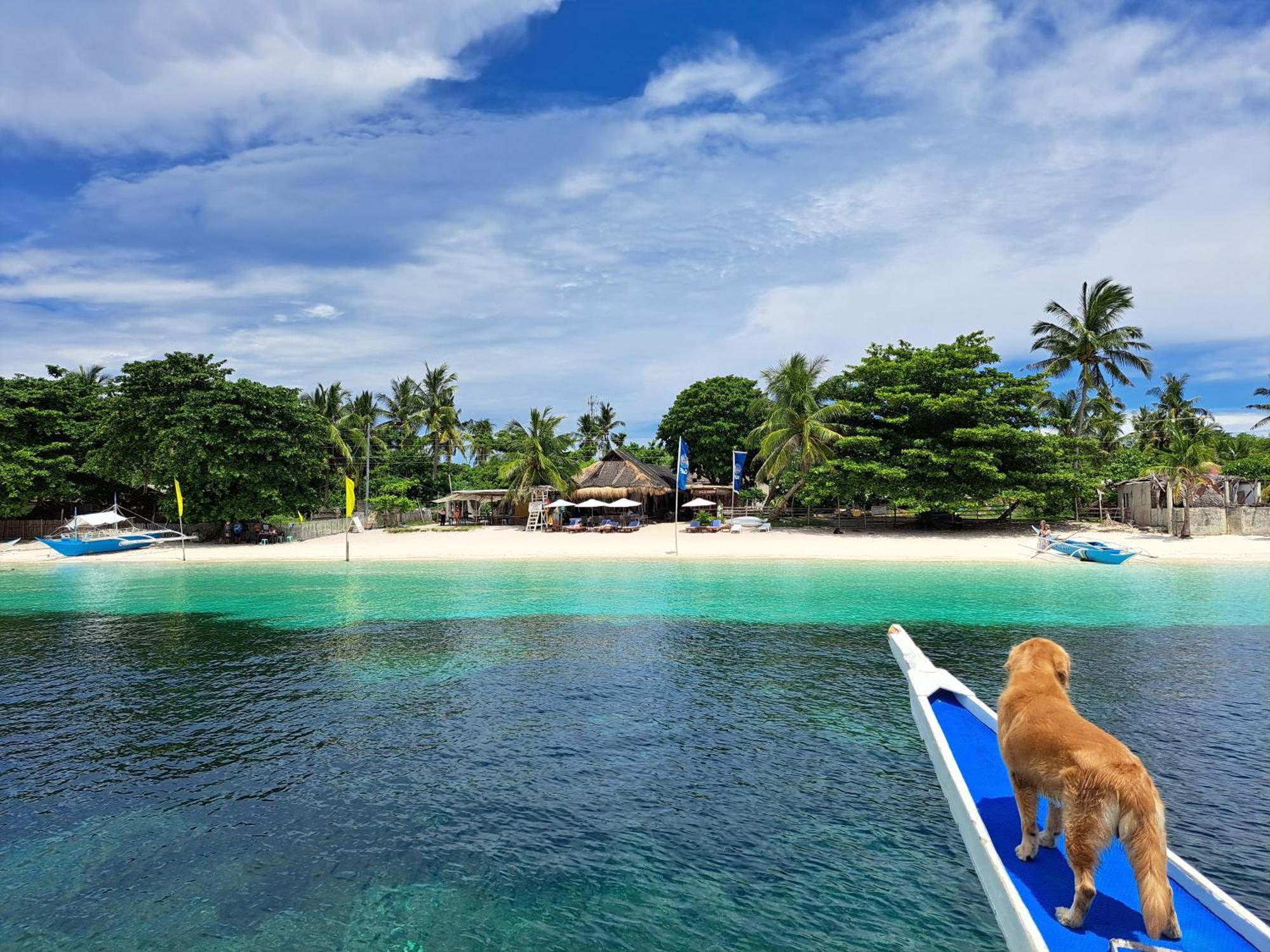 Avila's Horizon Dive Resort Logon