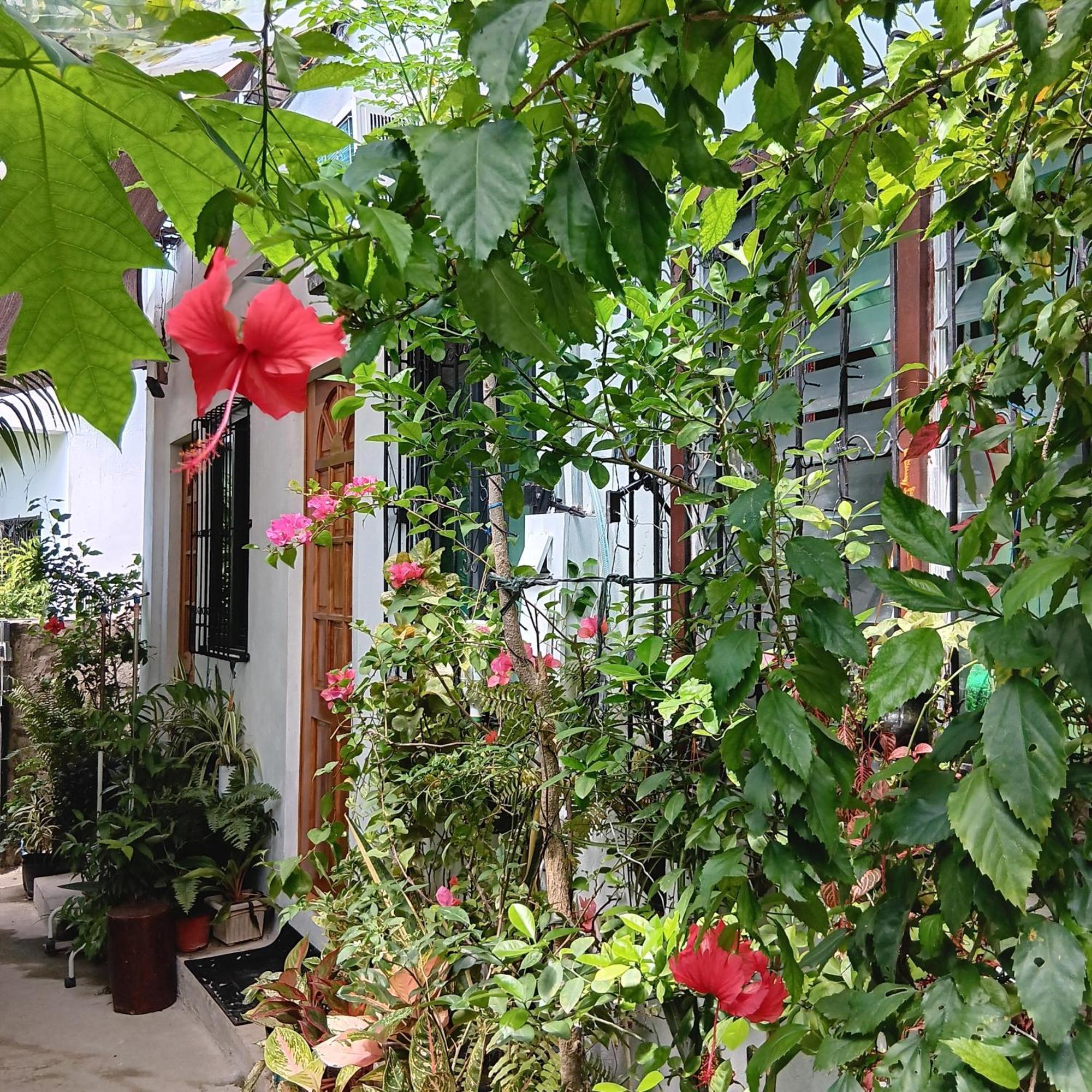 Susing Seaside Hostel