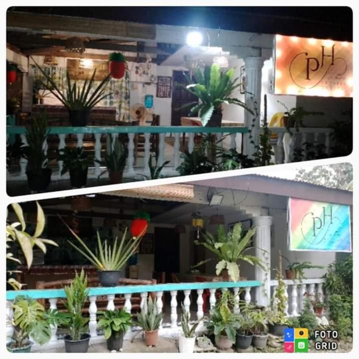 Paraiso Hostel Moalboal