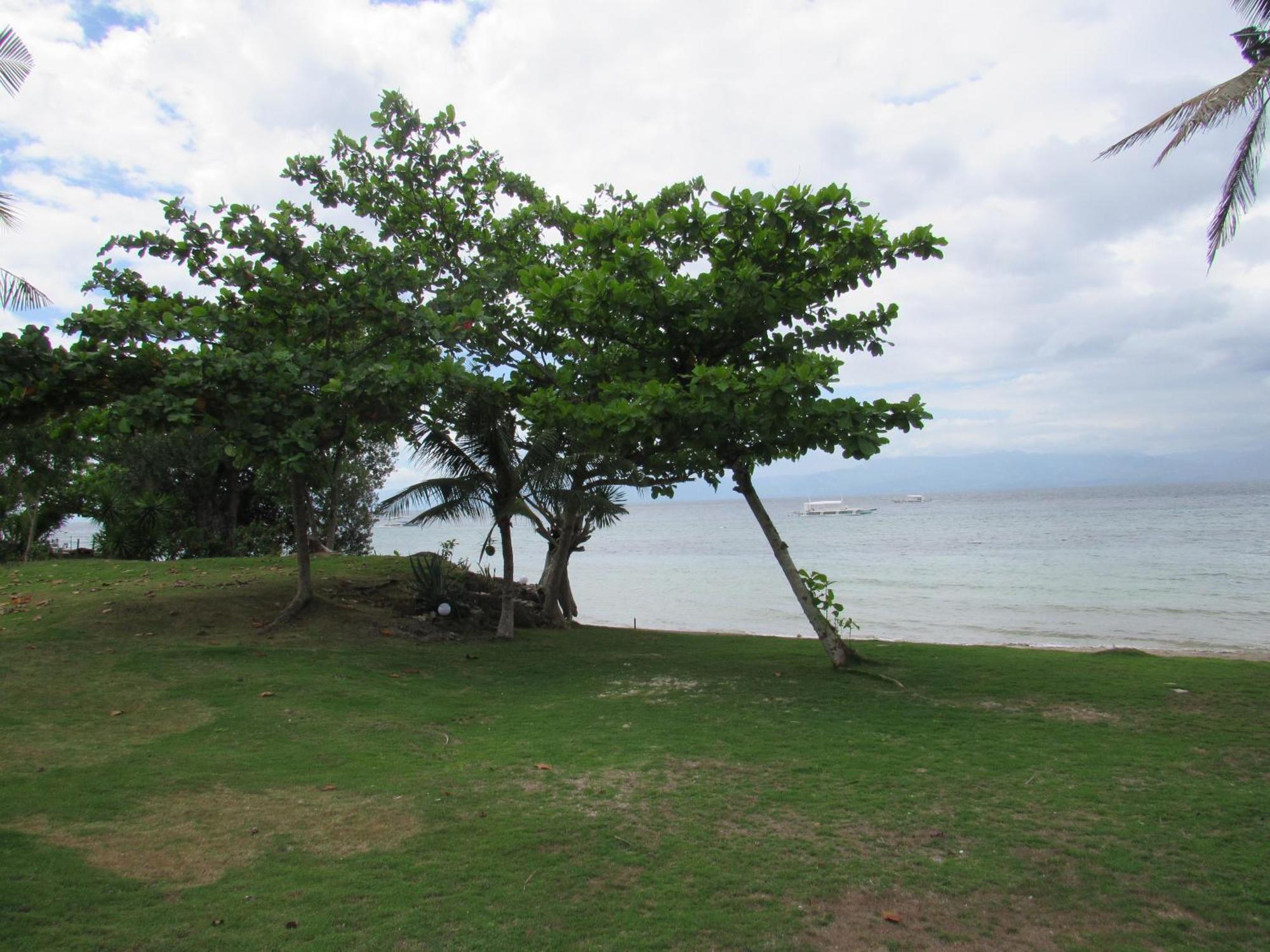 Resort Dacozy Moalboal