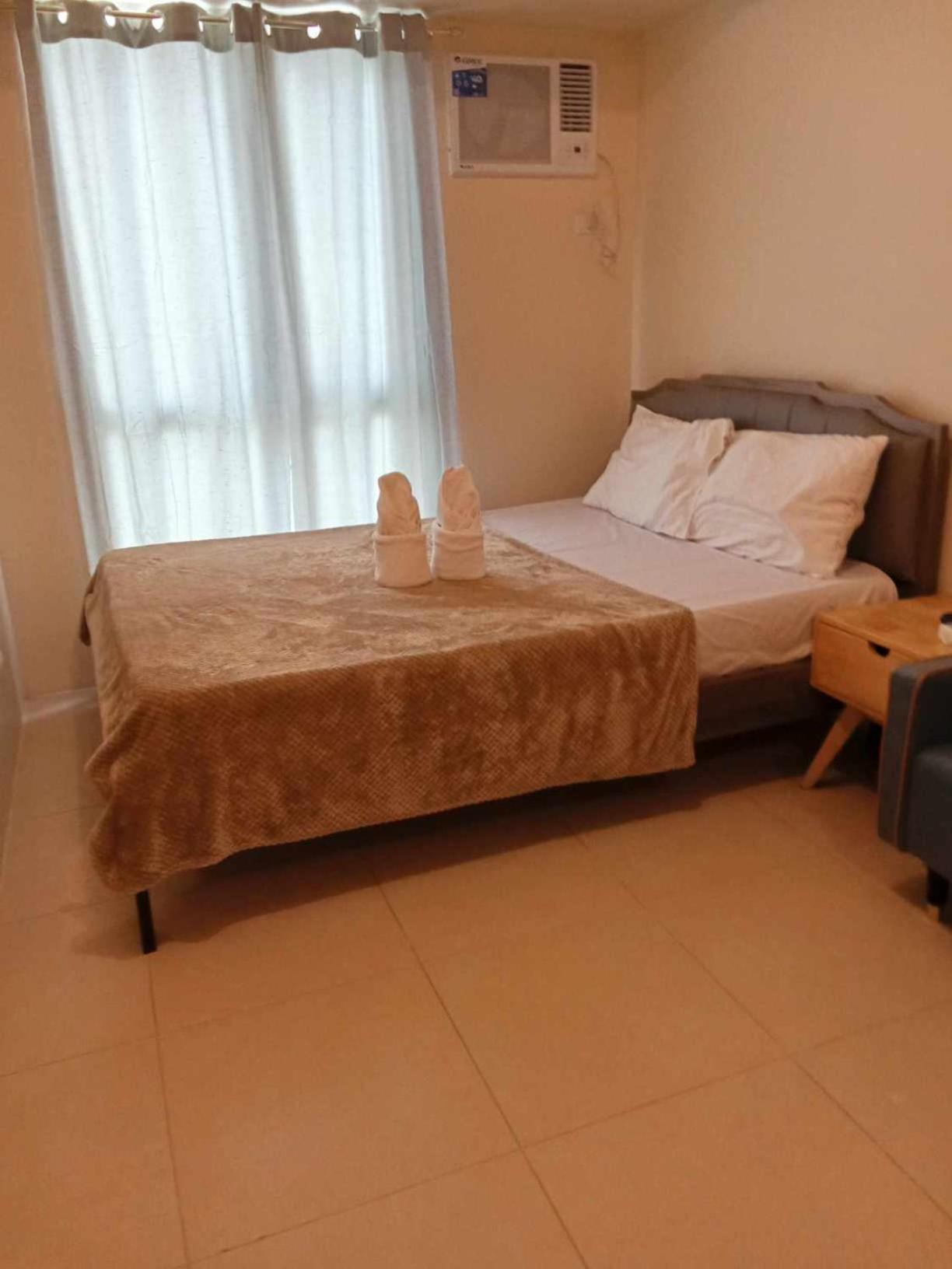 Avida Riala T2 509/cebu It Park Apartment Cebu