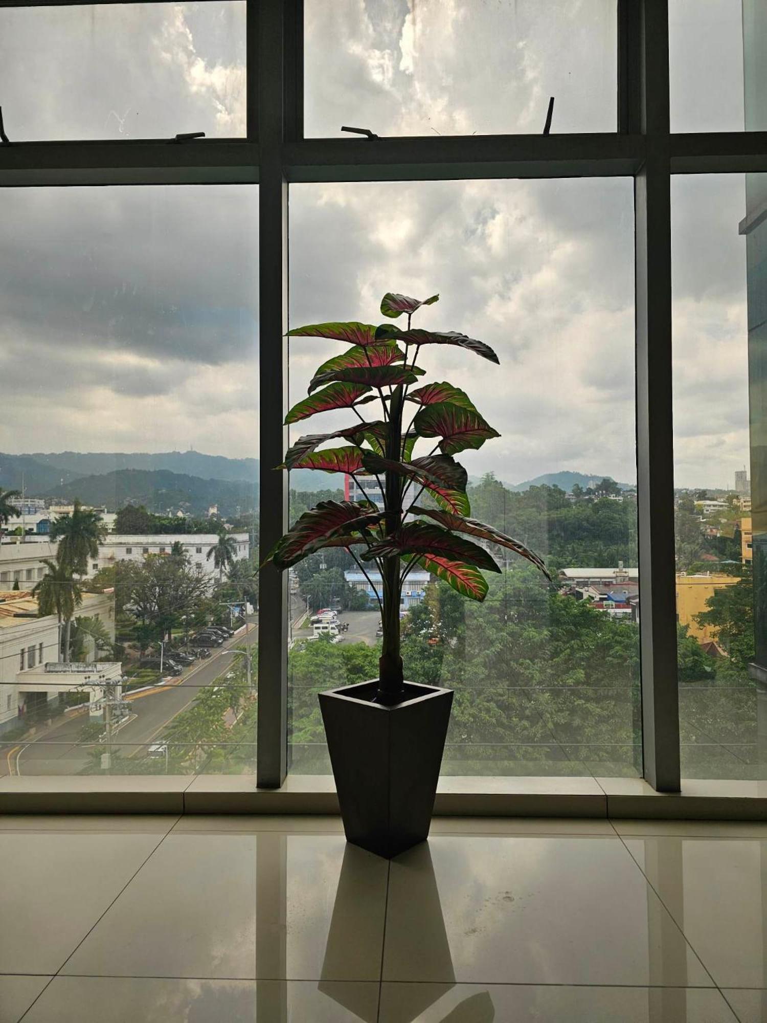 Hotel Capitol & Powered By Cocotel 3*