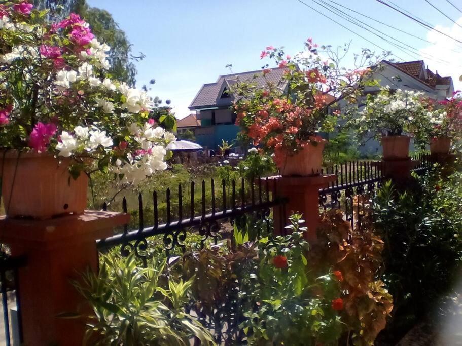 Mactan Island Lapu Lapu Gallery: Beachside Retreat With Dual Ac Apartment *