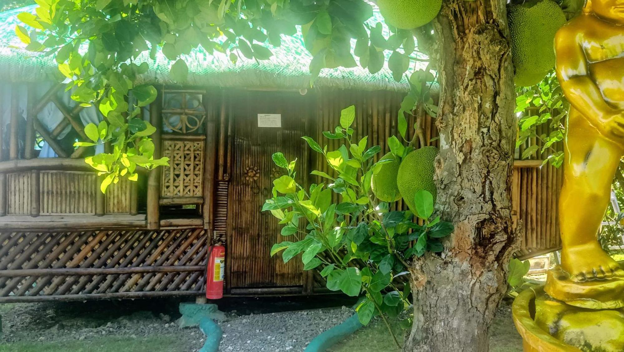 Bamboo House /